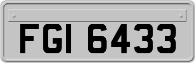 FGI6433
