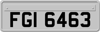 FGI6463
