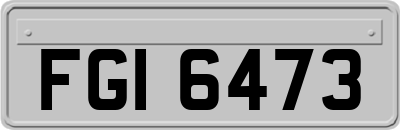 FGI6473