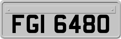 FGI6480