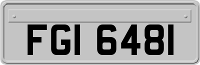 FGI6481