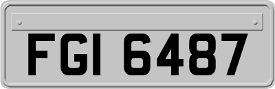 FGI6487
