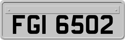 FGI6502