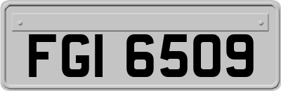 FGI6509