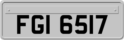 FGI6517