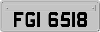 FGI6518