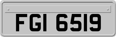 FGI6519