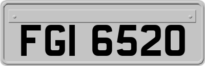 FGI6520