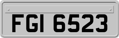 FGI6523