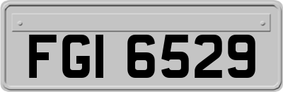 FGI6529