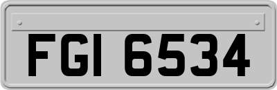 FGI6534
