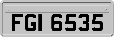 FGI6535