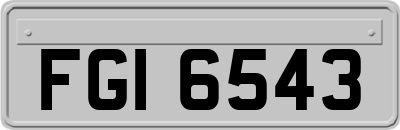 FGI6543