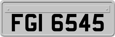 FGI6545