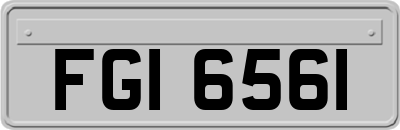 FGI6561