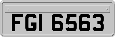 FGI6563