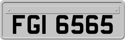 FGI6565