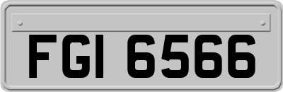 FGI6566