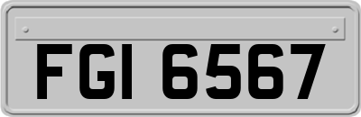 FGI6567
