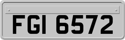 FGI6572