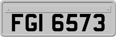FGI6573