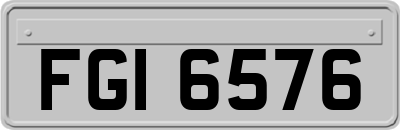 FGI6576