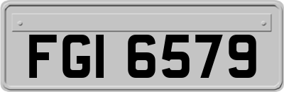 FGI6579