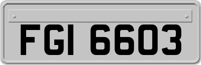 FGI6603
