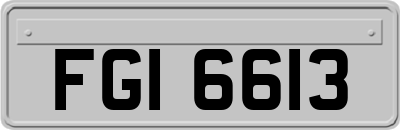FGI6613