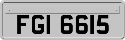 FGI6615