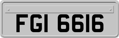 FGI6616