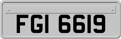 FGI6619