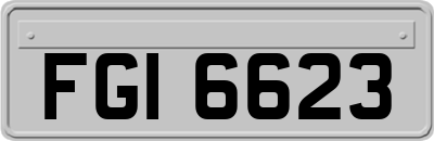 FGI6623