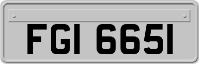FGI6651