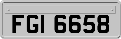 FGI6658