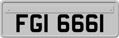 FGI6661