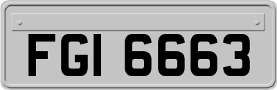 FGI6663