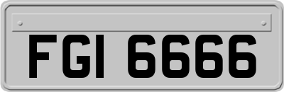 FGI6666