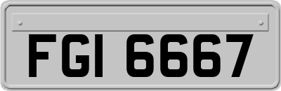 FGI6667