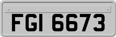 FGI6673