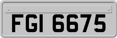 FGI6675