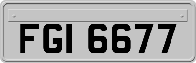 FGI6677