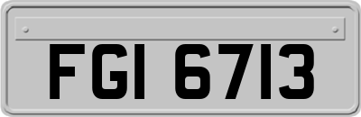 FGI6713