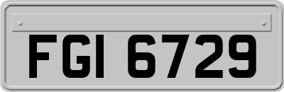 FGI6729