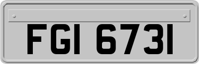 FGI6731
