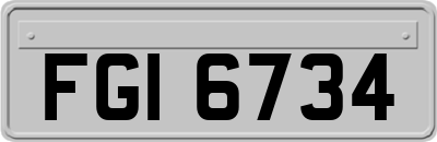 FGI6734