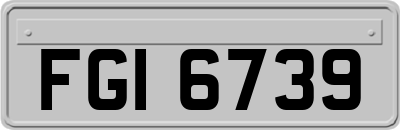 FGI6739