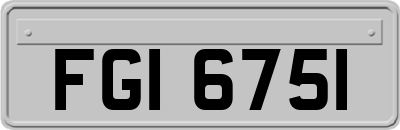 FGI6751