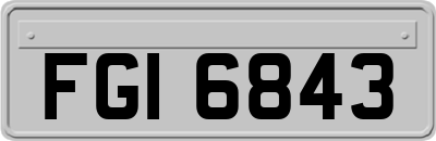 FGI6843