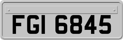 FGI6845